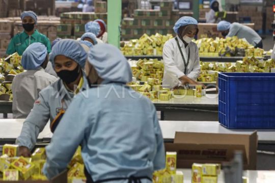 Ekonom: Penguatan industri manufaktur kunci perbaikan pasar kerja