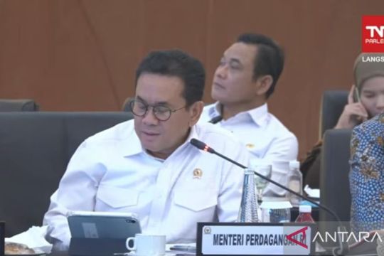 Mendag sebut kinerja ekspor daerah terdampak banjir tetap tumbuh