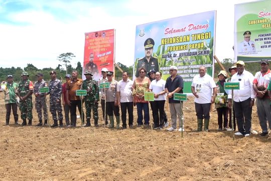 Pemprov Papua canangkan Muara Tami sebagai lumbung pangan