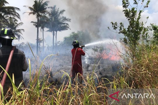 BNPB: Kebakaran di Bintan Kepri meluas hanguskan lahan 25 hektare