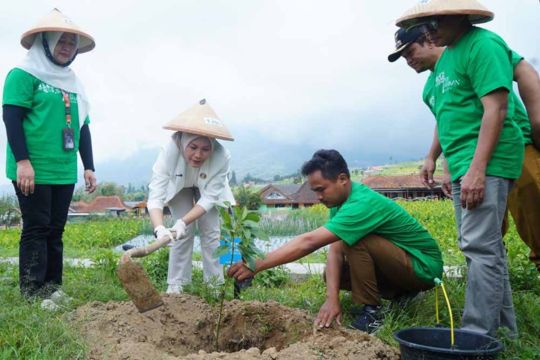 Saat kelestarian hutan jadi Kunci, PNM ajak menjaga bersama kehidupan