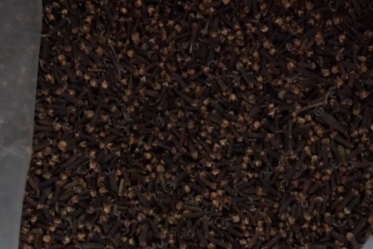 Pascabencana, cengkeh Sumbar tembus pasar Eropa