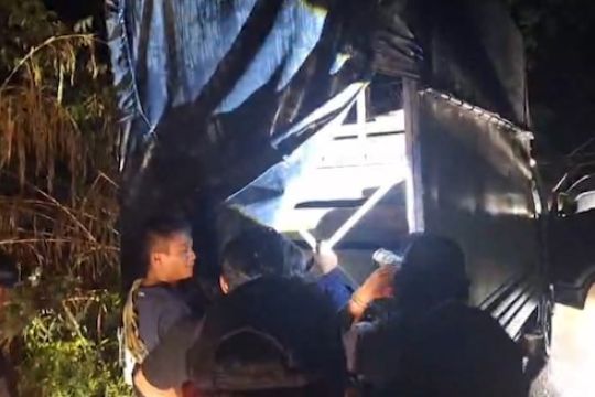 Tim gabungan tangkap jaringan perdagangan tapir di Pasaman Sumbar