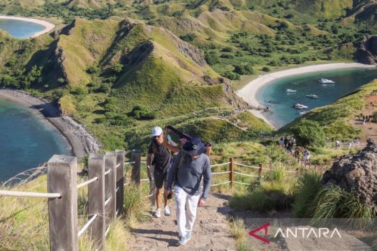 Upaya Kemenpar jaga kelestarian komodo secara berkelanjutan