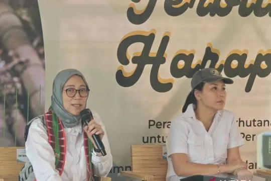 Kemenhut terbitkan enam SK Perhutanan Sosial khusus perempuan di NTT