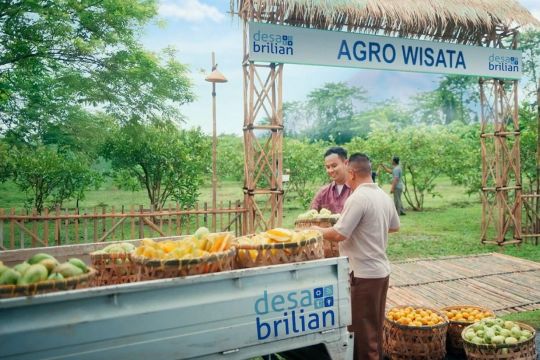 BRI resmikan Kick-Off Desa BRILiaN 2026 untuk dorong transformasi Desa 5.0