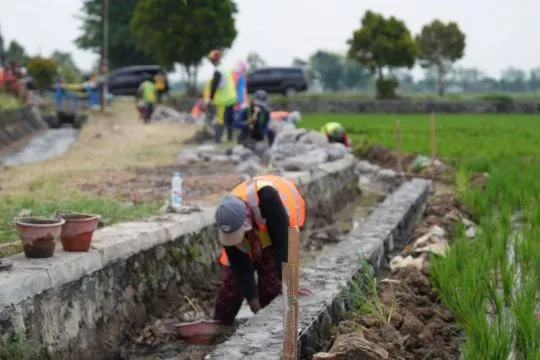CORE: Jaringan irigasi jadi kunci jaga produksi pangan hadapi El Nino