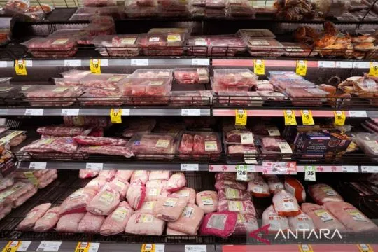 Wabah flu burung H5N1 di Australia tembus 200 kasus