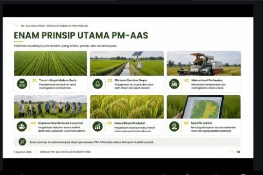Kementan targetkan budi daya PMAAS capai 1 juta hektare pada 2026