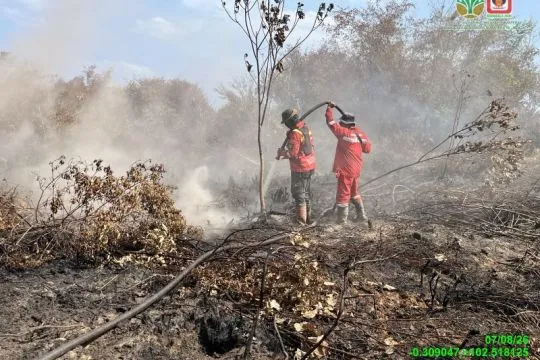 Manggala Agni tangani karhutla di Riau seluas 100 hektare lebih
