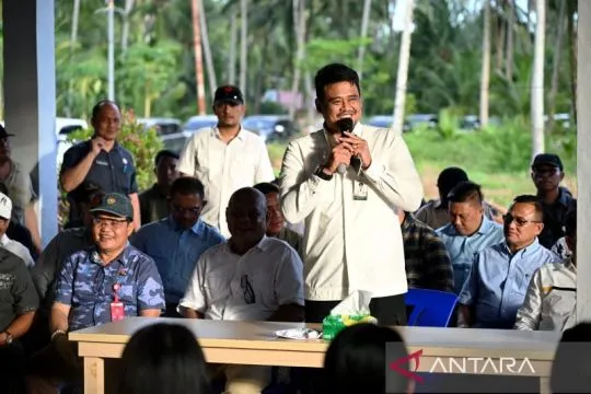 Gubernur siapkan Rp2 miliar bangun rumah produksi kelapa di Nias Utara