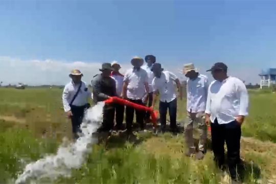 55 hektare sawah Maros waspada dampak kemarau