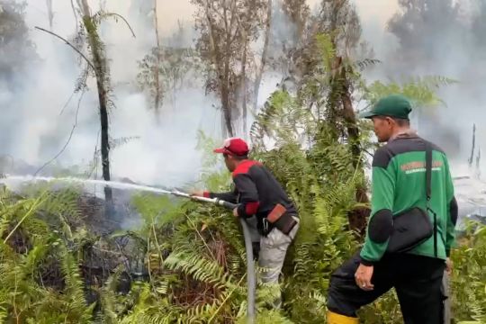 Karhutla masih melanda Palangka Raya, api sulit padam di lahan gambut