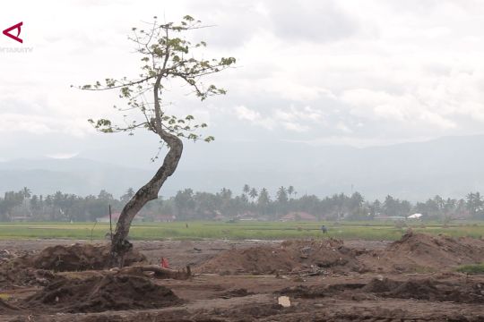 Pemerintah data kembali lahan rusak berat terdampak bencana di Sumbar