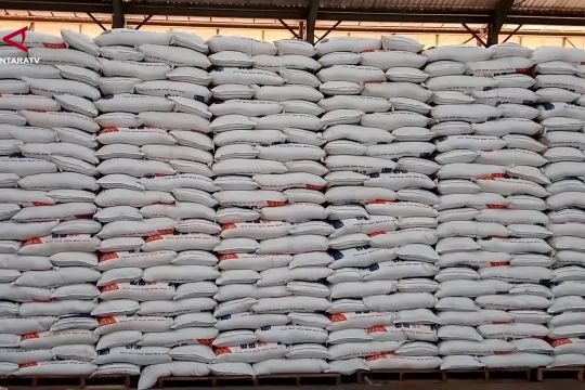 Produksi beras Sulsel naik, target 3,3 juta ton optimistis tercapai