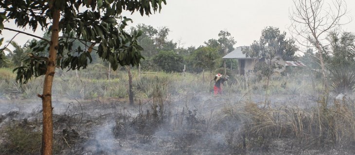 Penanganan kebakaran hutan capai hasil signifikan dalam dua tahun terakhir