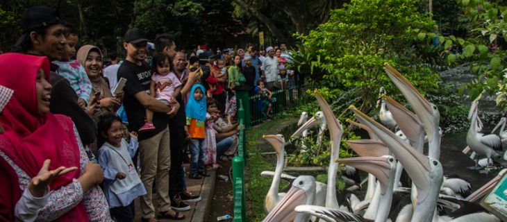 95% satwa TM Ragunan ramaikan Lebaran