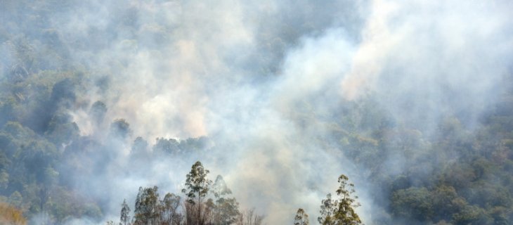 KLHK: Hutan dan gambut terbakar hingga September totalnya 857.756 ha