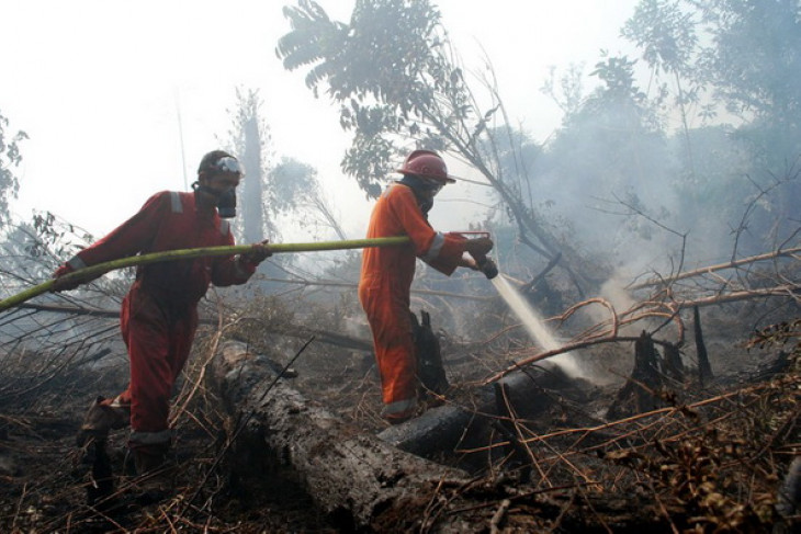 Satellites detect 154 hotspots on Sumatra island