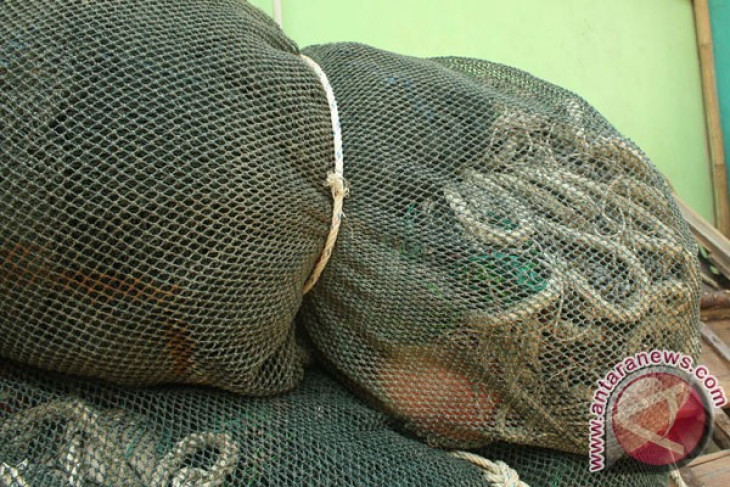Trawl fishermen to get debt restructuring