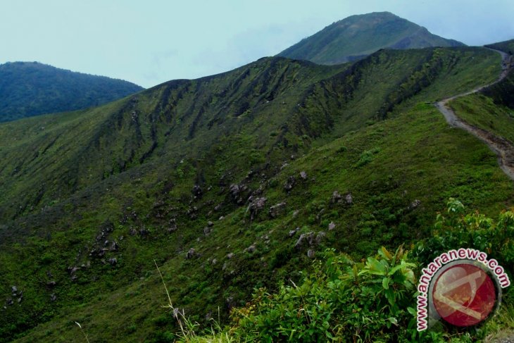 Puluhan hektare kawasan TWA Bukit Kaba rusak