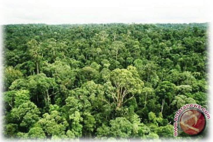 Taman Nasional Lorentz Papua Terluas Dan Terlengkap Antara