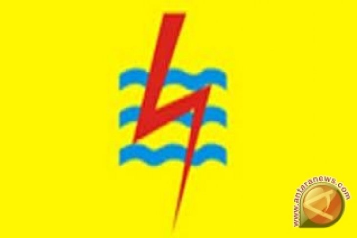 PLN Potong Ranting dan Cabang Pohon