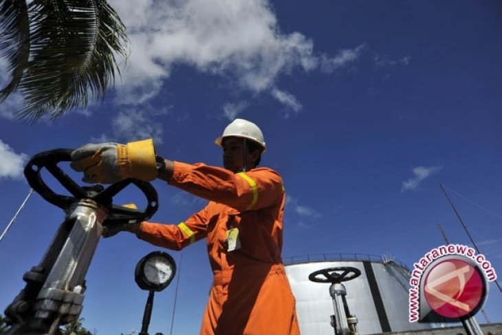Harga minyak turun karena Saudi ragu batasi produksi