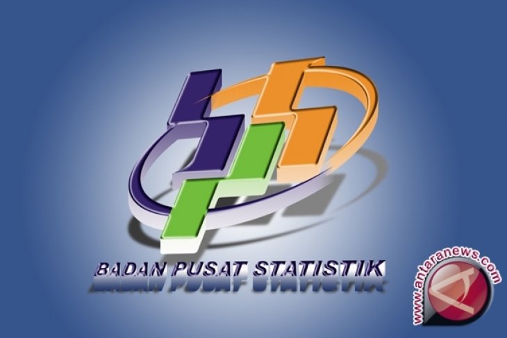 BPS Bangka Selatan Olah Data Pelaku Ekonomi