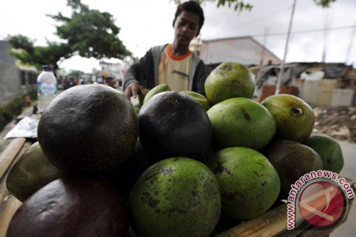 Makanan dan kebiasaan untuk redakan cemas