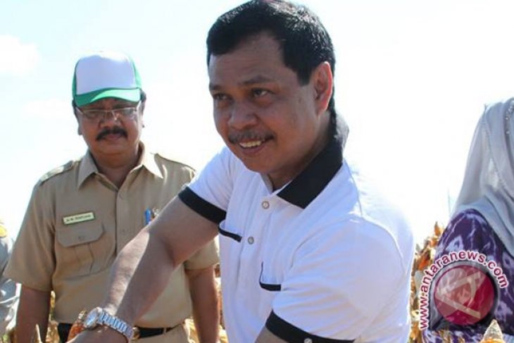 Wagub Bantu Pembebasan Bandara