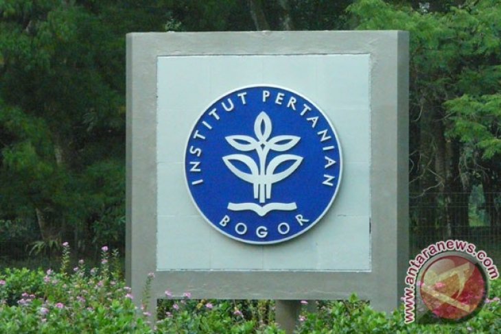 Calon Dokter Hewan Ipb Tewas Bunuh Diri Antara News Megapolitan