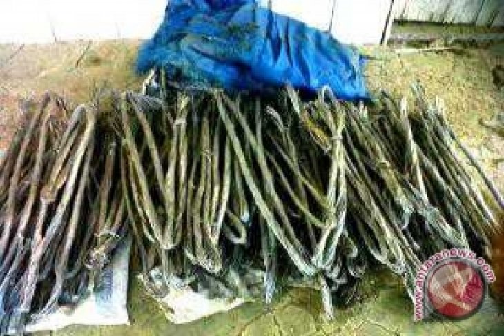 Polisi Amankan Pencuri Kabel Milik PLN