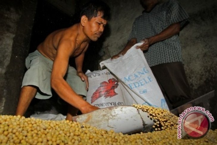 Kejayaan Produsen Tempe Selesai Sejak 1998