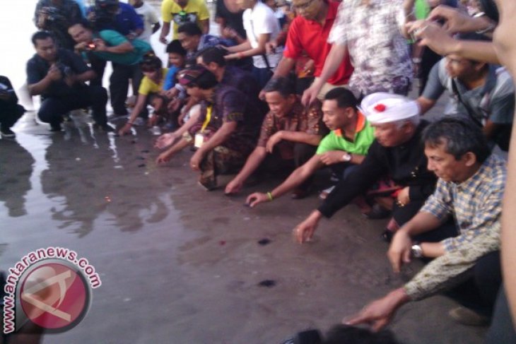 Puluhan Wisman di Buleleng Ikuti Pelepasan Tukik