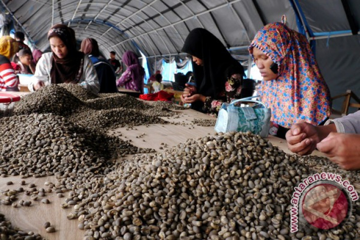 Indonesia rumuskan strategi ekspor kopi ke China - ANTARA 
