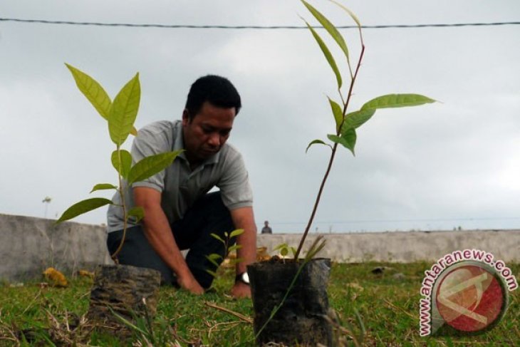 Pemkab Bogor Giatkan Penanaman Antisipasi Bencana Alam