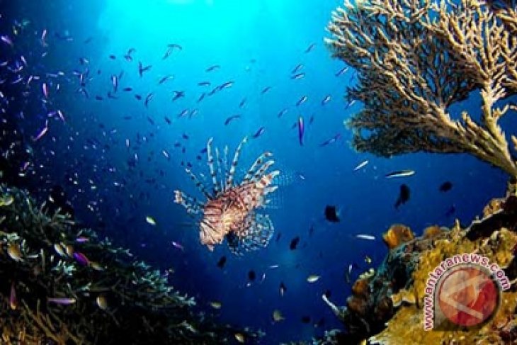 Wonderful Indonesia di Qatar jaring wisatawan Timur Tengah