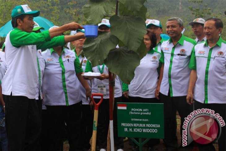 Tree planting movement to support food sovereignty program