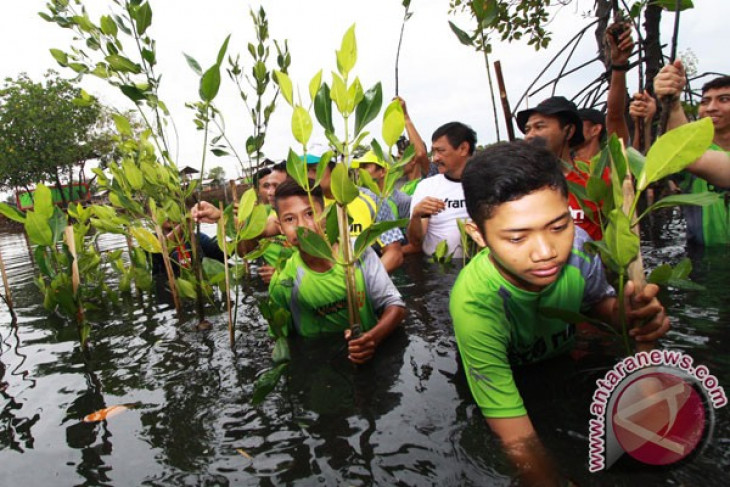 Mahasiswa Tangerang tanam ribuan pohon mangrove