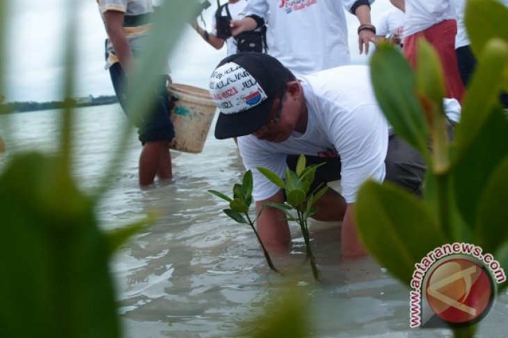 PT Timah - Pers Babel Tanam Mangrove