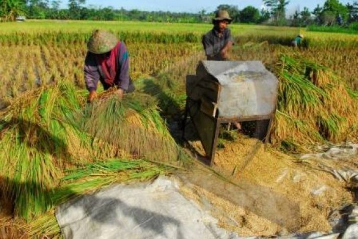 Kementan fokus kembangkan pertanian modern hingga ke daerah terluar