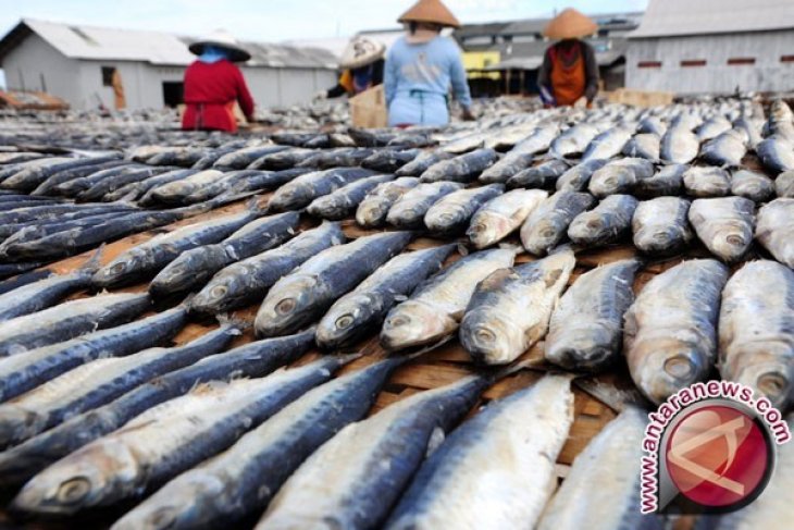 Bupati Dorong Generasi Muda Gemar Makan Ikan