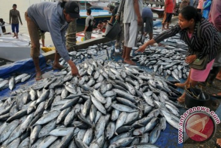 DKP Giatkan Gerakan Gemar Makan Ikan