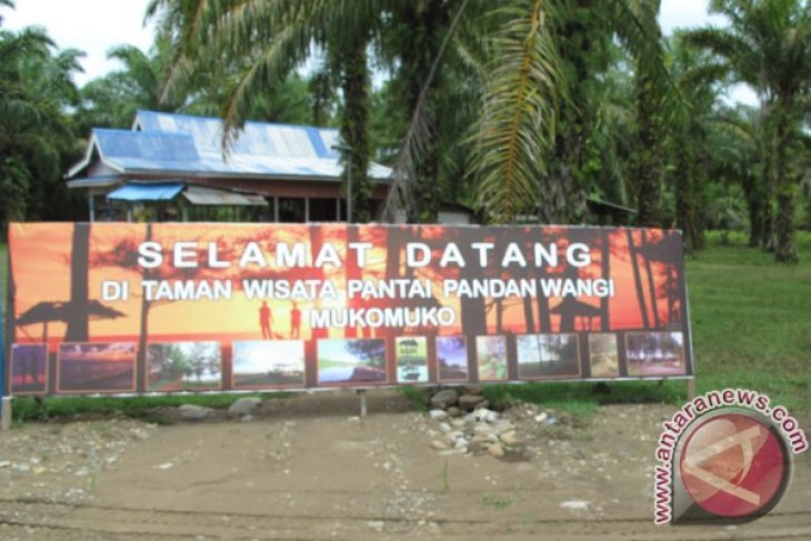 Warga Mukomuko Bangun Fasilitas Pantai Pandan Wangi Antara News