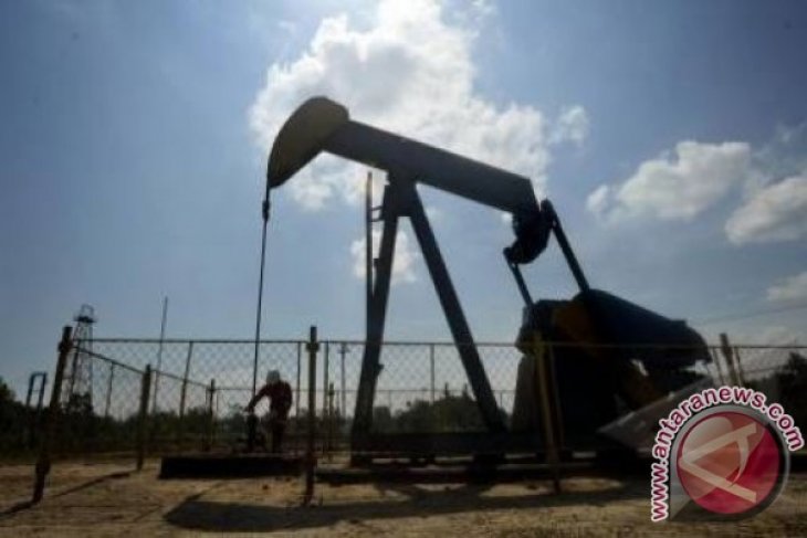 Harga Minyak Dunia Jatuh