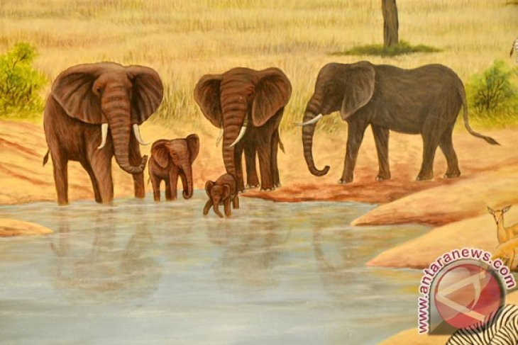 Ini Dia, Panti Asuhan Bayi Gajah
