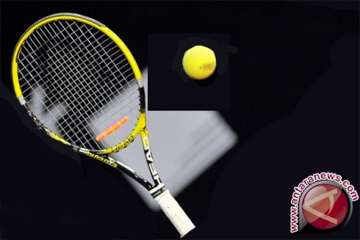 Petenis Ceko Strycova amankan semifinal Grand Slam pertamanya di Wimbledon