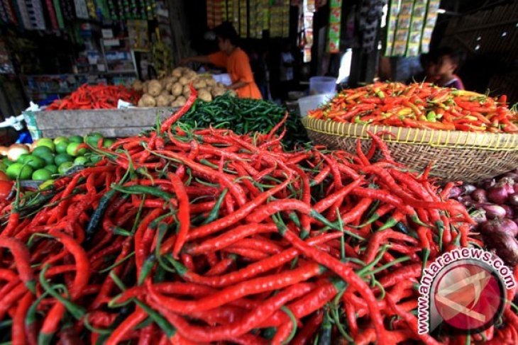 Harga cabai di pasar tradisional Toboali turun