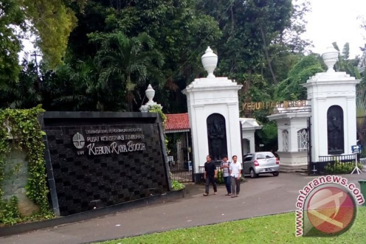 Kebun Raya Bogor bersiap sambut lebaran 2018